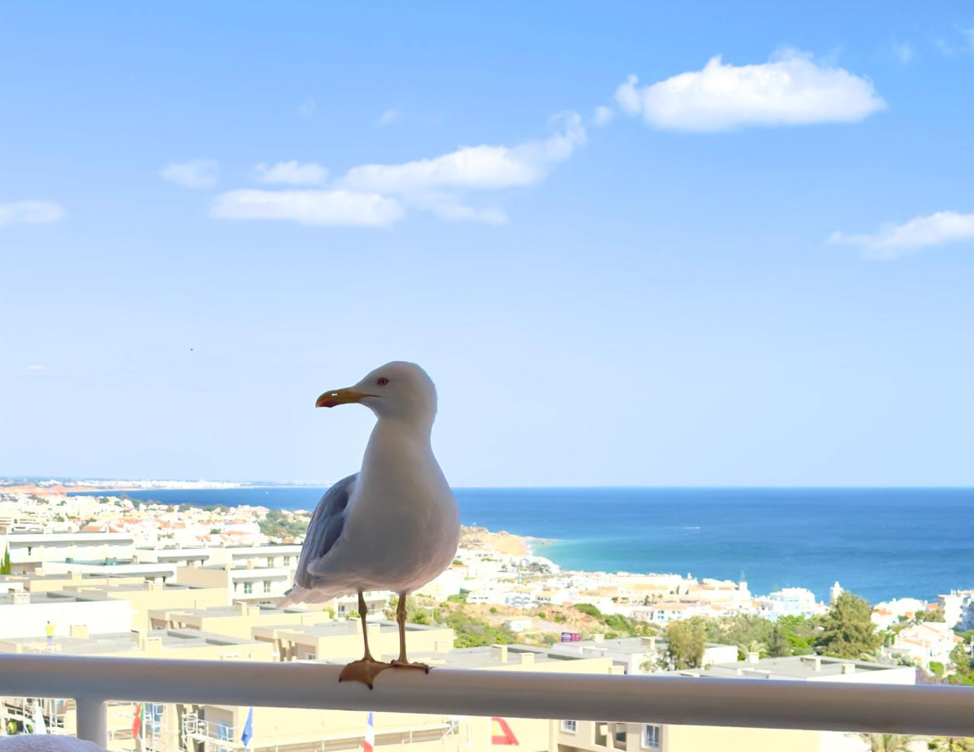 Apartment Les 3 Dauphins In Albufeira Exterior foto